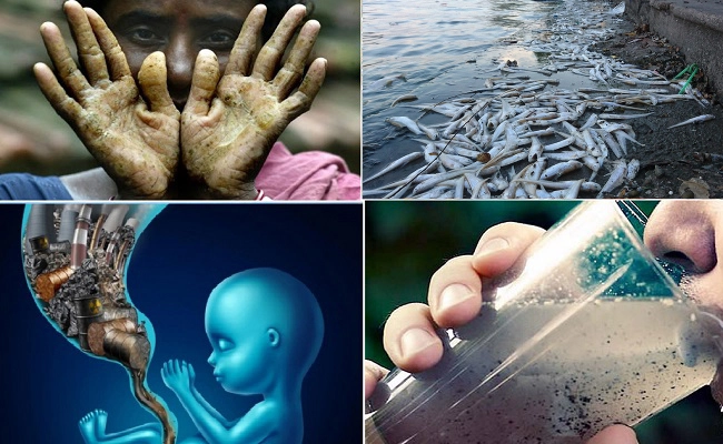 Tính Chất Và Mức Độ Ô Nhiễm Của Nguồn Nước Đầu Vào