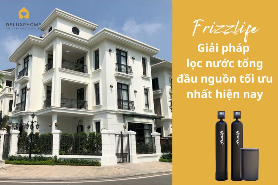 lọc tổng Frizzlife của Deluxe Home